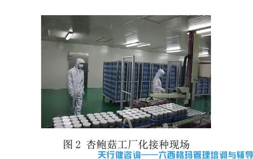 杏鮑菇工廠化接種中TRIZ創(chuàng)新技術(shù)的應(yīng)用與計(jì)算機(jī)軟硬件技術(shù)開發(fā)